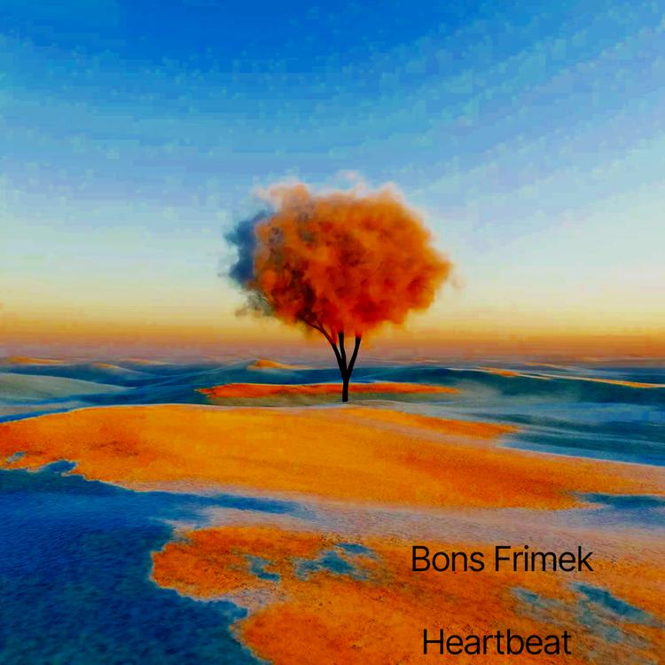 Bons Frimek's avatar image