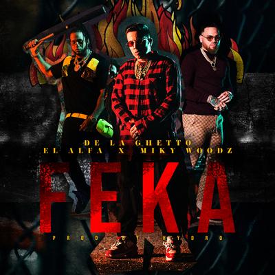 FEKA's cover