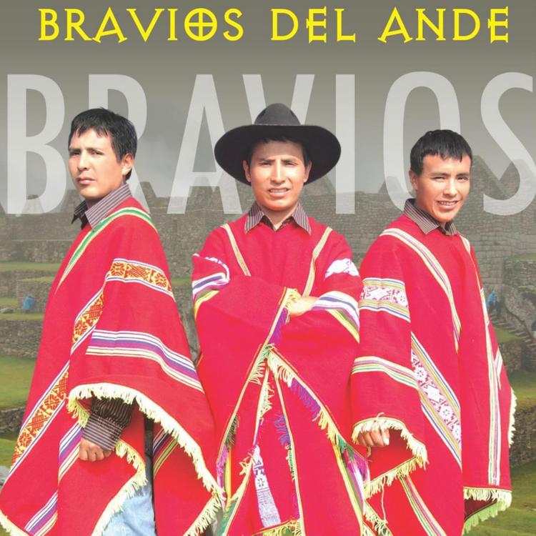 Los Bravíos Del Ande's avatar image