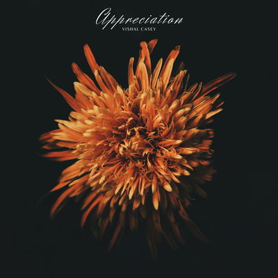 Appreciation's cover