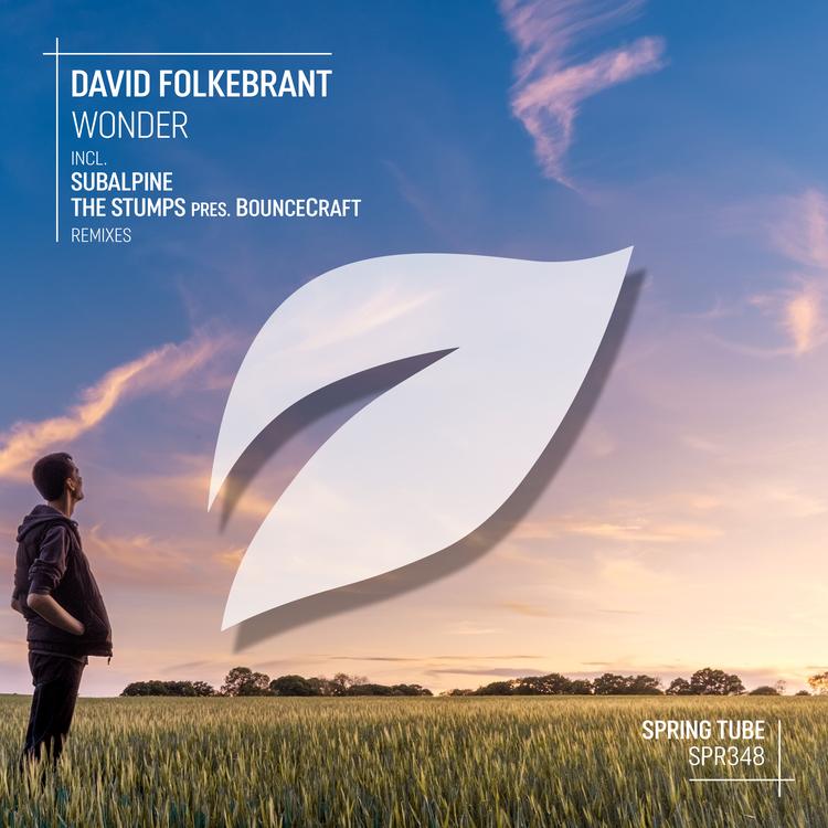 David Folkebrant's avatar image