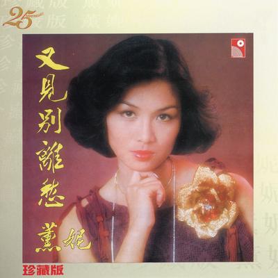 Bie Hou Chong Feng's cover