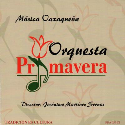 Musica Oaxaquena's cover