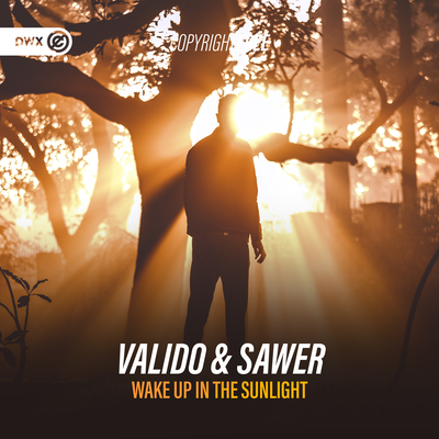 Wake Up In The Sunlight's cover