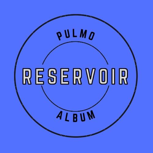 Pulmo's avatar image