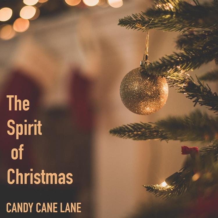 Candy Cane Lane's avatar image