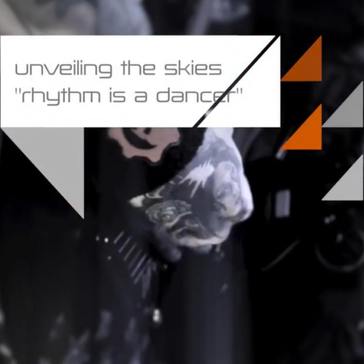 Unveiling the Skies's avatar image