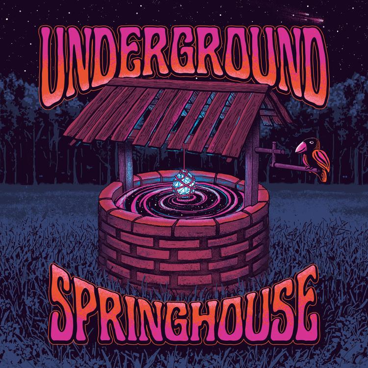 Underground Springhouse's avatar image