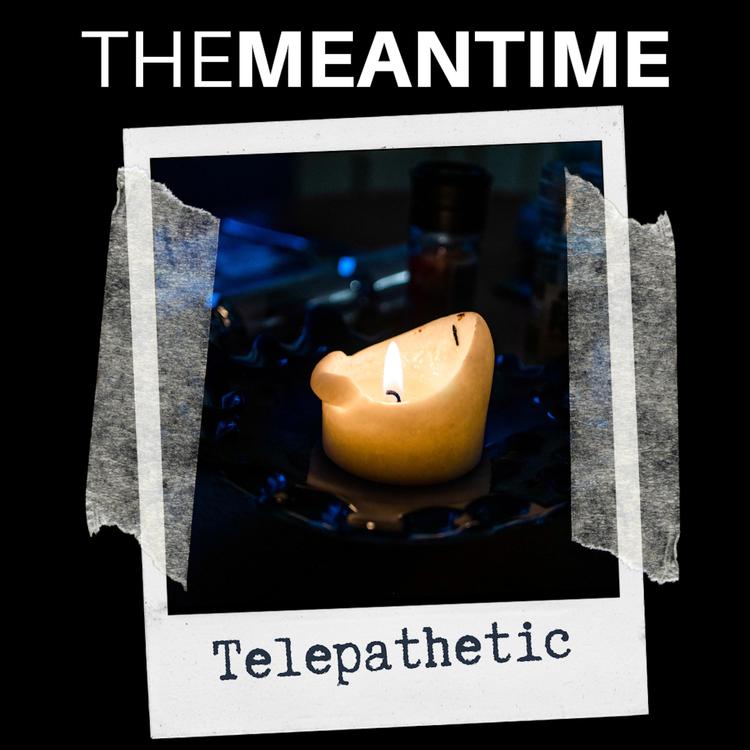 The Meantime's avatar image