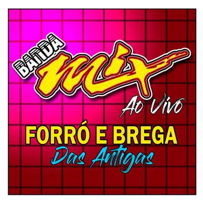 FORRÓ E BREGA DAS ANTIGAS - 2008's cover