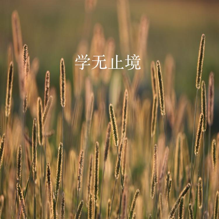 Xing Zheng's avatar image