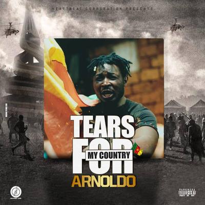 Tears for my country's cover