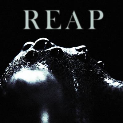 Reap's cover