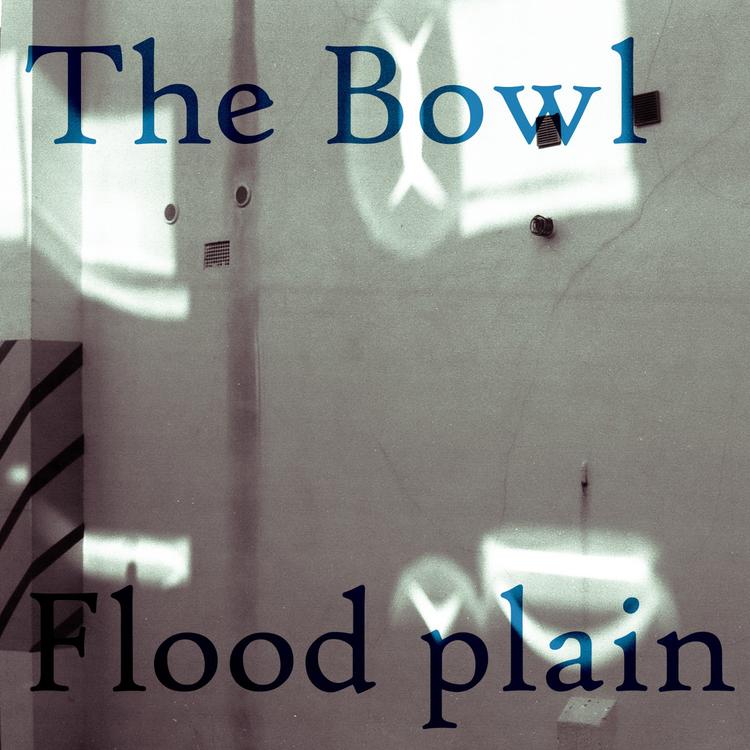 Flood Plain's avatar image