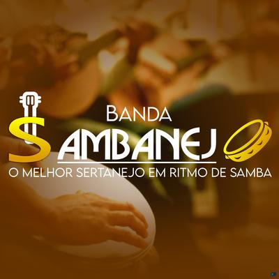 Não Deixo Não By Banda Sambanejo's cover