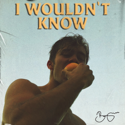 I Wouldn't Know's cover