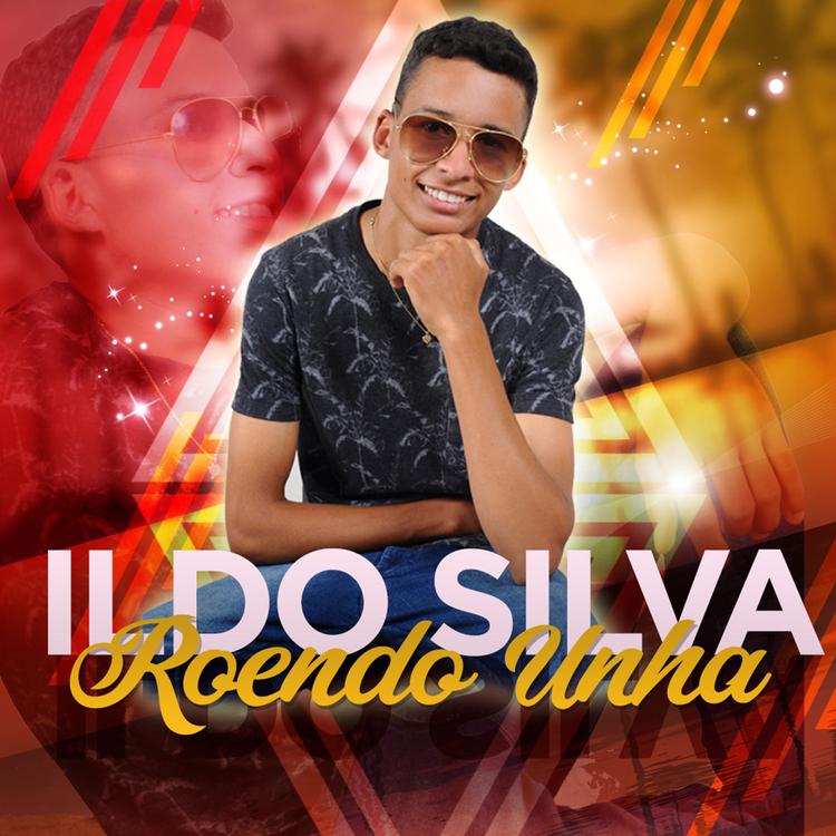 Ildo Silva's avatar image