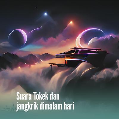 Suara Tokek Dan Jangkrik Dimalam Hari's cover