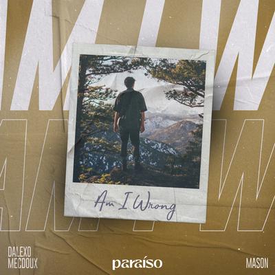 Am I Wrong By Mason, DALEXO, Mecdoux's cover