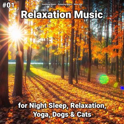 #01 Relaxation Music for Night Sleep, Relaxation, Yoga, Dogs & Cats's cover