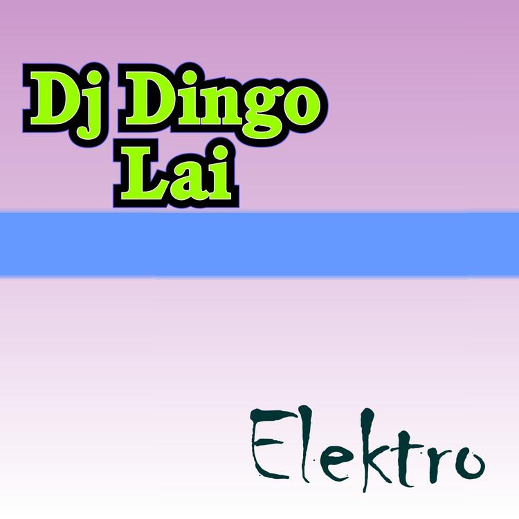 Dj Dingo Lai's avatar image