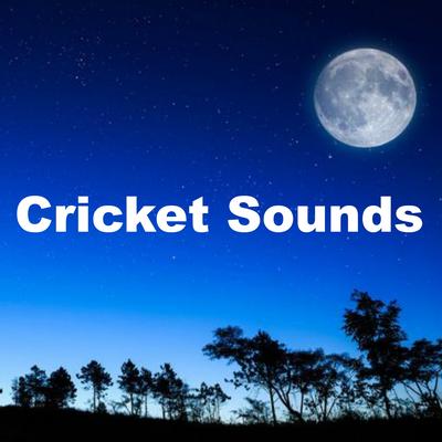Cricket Sounds At Sunset By Cricket Sounds's cover