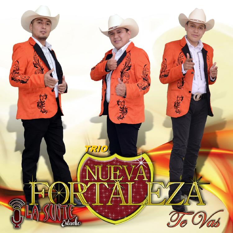 Trio Nueva Fortaleza's avatar image