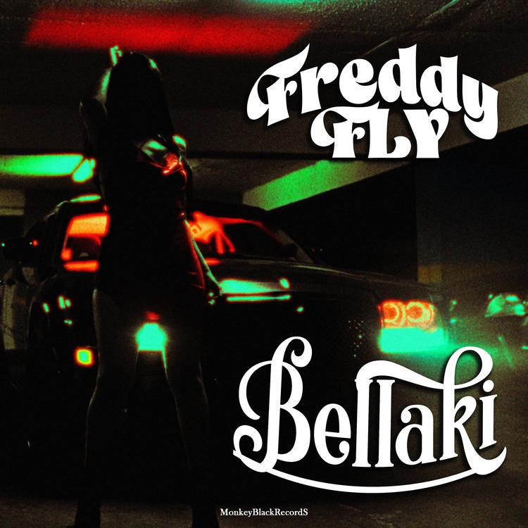 Freddy Fly's avatar image