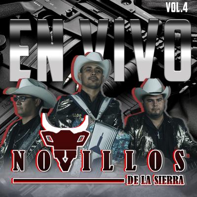 En Vivo, Vol. 4's cover
