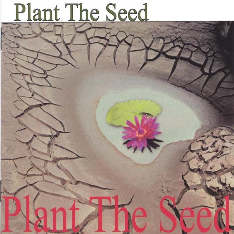 Plant The Seed's avatar image