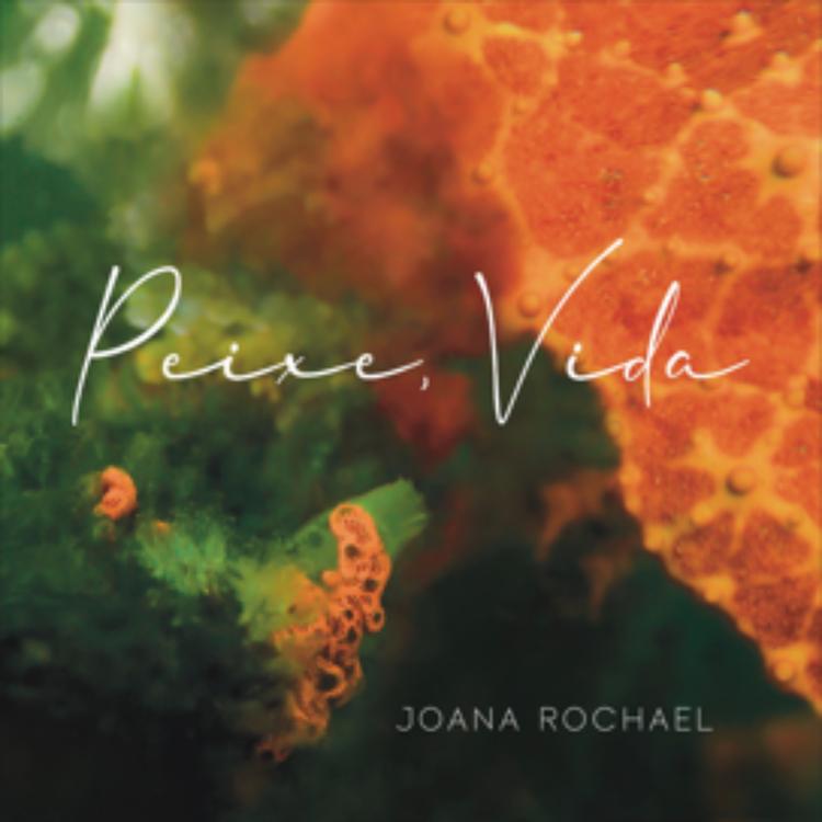 Joana Rochael's avatar image