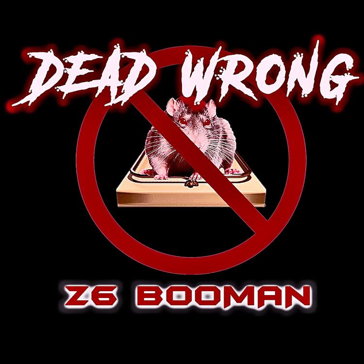 Z6 Booman's avatar image