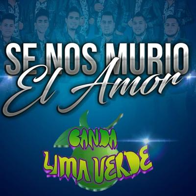 Banda Lima Verde's cover