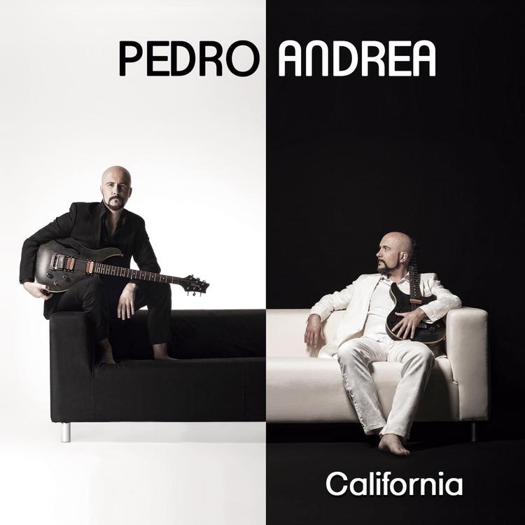 Pedro Andrea's avatar image