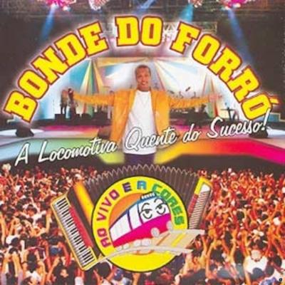 Tu É Gay Que Eu Sei (Ao Vivo) By Bonde do Forró's cover