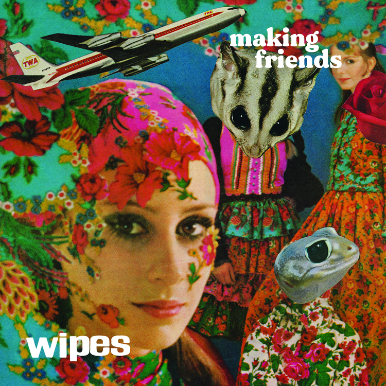 Wipes's avatar image