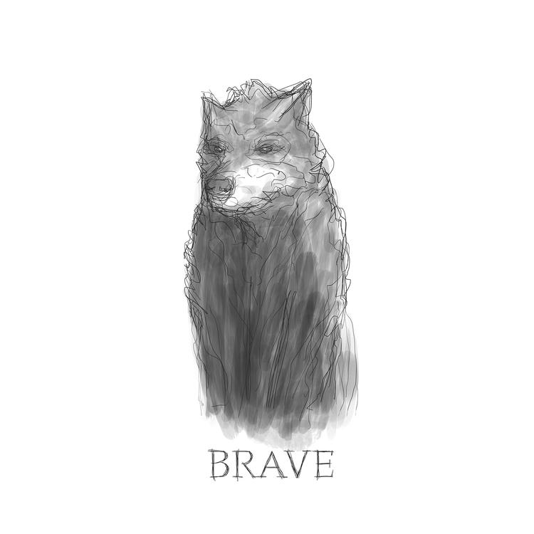 Brave's avatar image