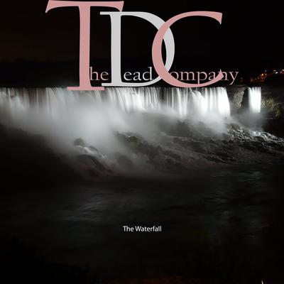 The Dead Company's cover