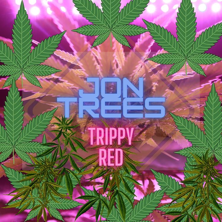 Jon Trees's avatar image
