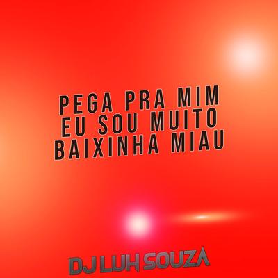 Pega pra Mim Eu Sou Muito Baixinha Miau By Dj Luh Souza's cover