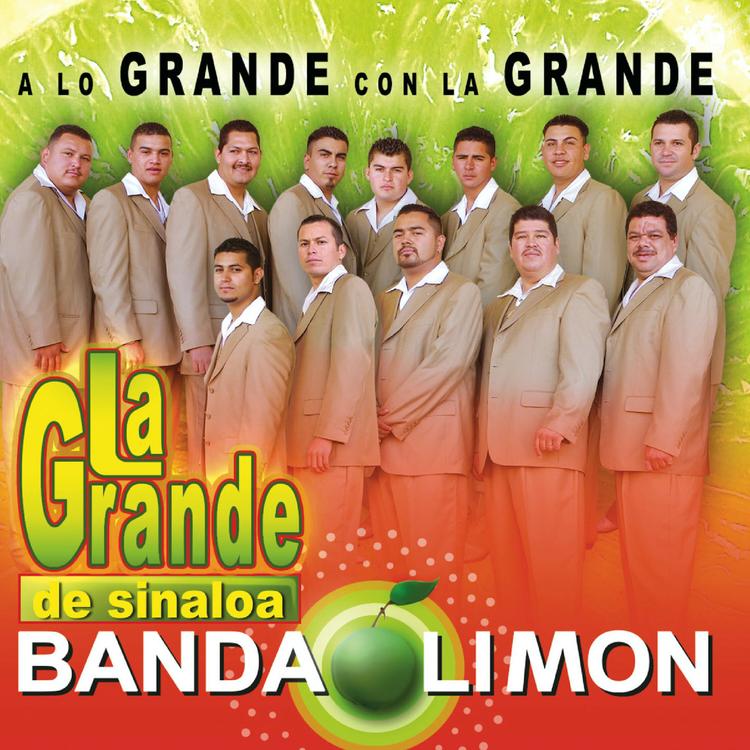 La Grande De Sinaloa Banda Limon's avatar image