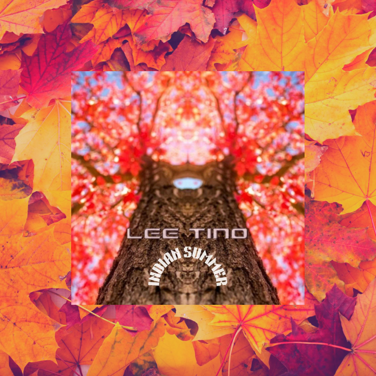Lee Tino's avatar image