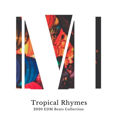 Tropical Rhymes - 2020 EDM Beats Collection's cover