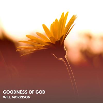 Goodness of God (Acoustic) By Will Morrison's cover