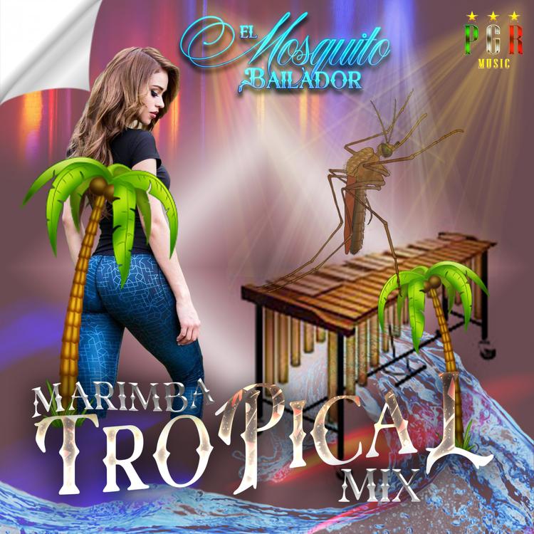 Marimba Tropical Mix's avatar image