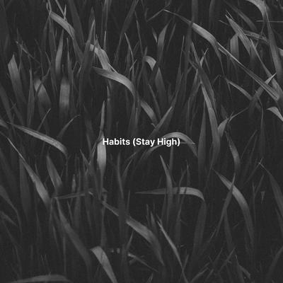 Habits (Stay High) (Brazilian Funk Remix) By Rikk Ziko, Remix Kingz's cover