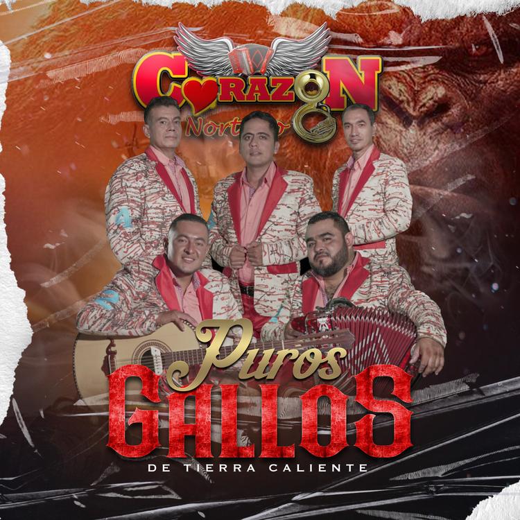 Corazón Norteño de Huetamo's avatar image