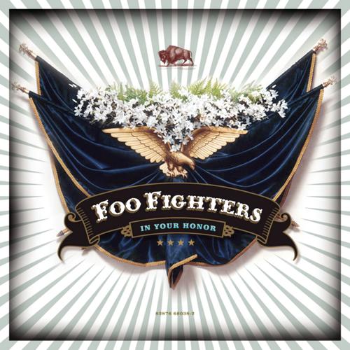 foo figthers's cover