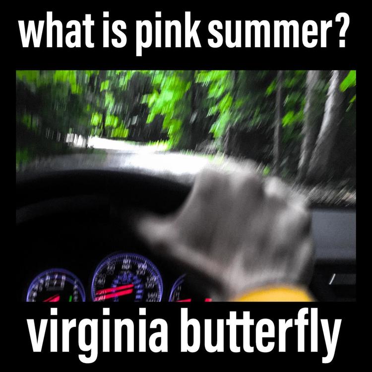 What is Pink Summer?'s avatar image