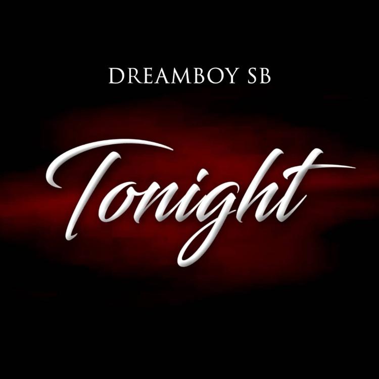 Dreamboy SB's avatar image
